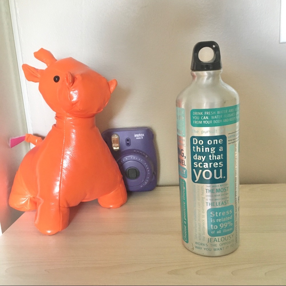 🎁FW2P/$30 Lululemon tin collectors bike bottle add on